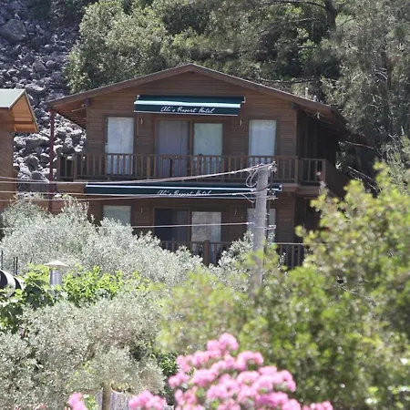 Ali's Hotel *